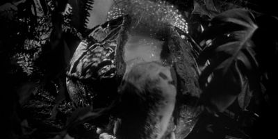 They're like huge seedpods - Invasion of the Body Snatchers