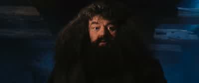 They're my letters! - Harry Potter and the Philosopher's Stone