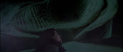 They're not attacking Why - Dune