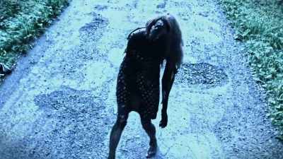 They're not quick. They're not excited. - Zombies! Prepping for the Apocalypse