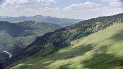 They're not the only spring
travelers driven by hunger. - Epic Yellowstone