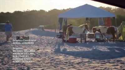 They're notorious for campground raids - United States of Animals