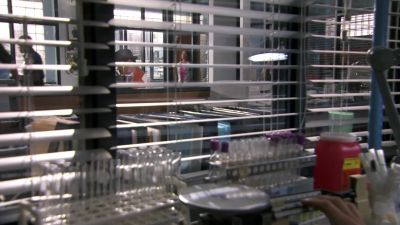 They're on a wiId goose chase. - Dexter
