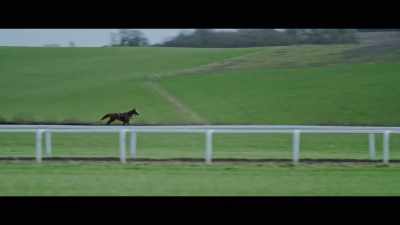 They're on reduced exercise - Horsepower