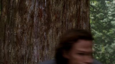 They're on us.
Yeah. - Supernatural