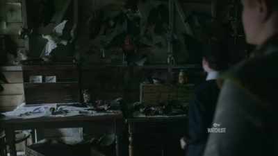 They're passerines. Mostly corvids. - The Nevers