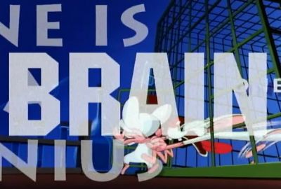 THEY'RE PINKY AND THE BRAIN - Pinky and the Brain