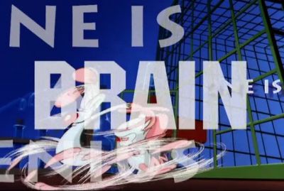 THEY'RE PINKY AND THE BRAIN - Pinky and the Brain