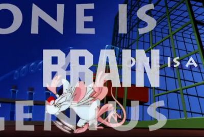 THEY'RE PINKY AND THE BRAIN - Pinky and the Brain