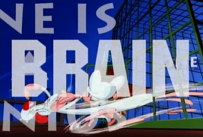 THEY'RE PINKY AND THE BRAIN - Pinky and the Brain