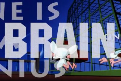 THEY'RE PINKY AND THE BRAIN - Pinky and the Brain