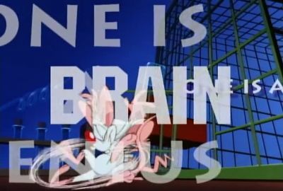THEY'RE PINKY AND THE BRAIN - Pinky and the Brain