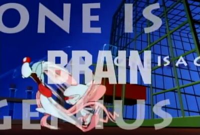 THEY'RE PINKY AND THE BRAIN - Pinky and the Brain