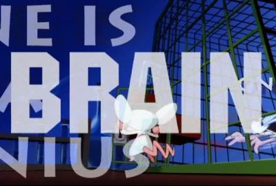 THEY'RE PINKY AND THE BRAIN - Pinky and the Brain