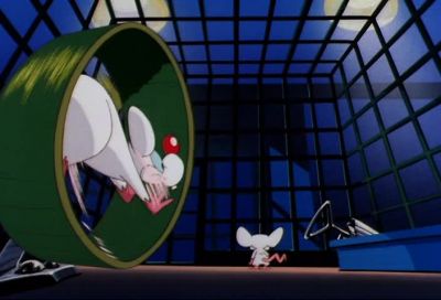 THEY'RE PINKY AND THE BRAIN - Pinky and the Brain