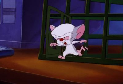They're pinky and the brain - Pinky and the Brain