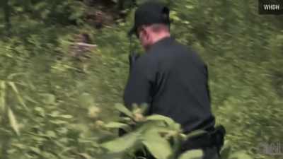 They're searching everything. - Killer Inside: The Mind of Aaron Hernandez