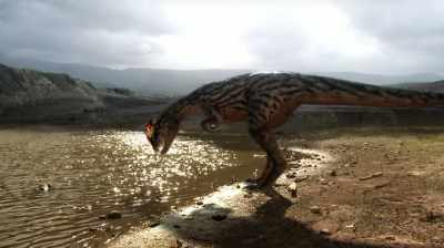 THEY'RE SO WELL-ADAPTED
TO THEIR ENVIRONMENT - Dino Hunters