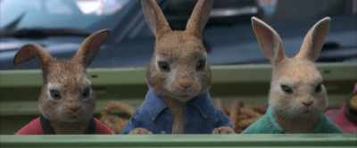 They're wearing aprons, - Peter Rabbit