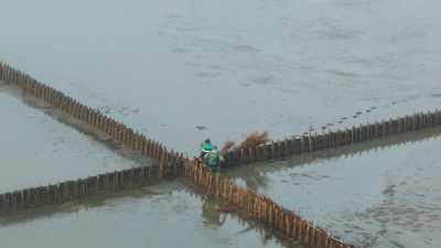 They're weaving brushwood
between wooden posts - Europe From Above