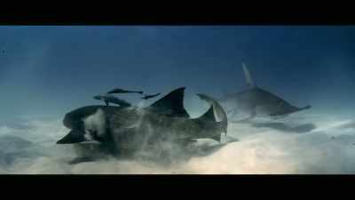 They've already
been to the beach, - Envoy: Shark Cull
