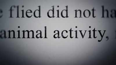 They've been damaged
by animals and insects. - Unsolved Mysteries