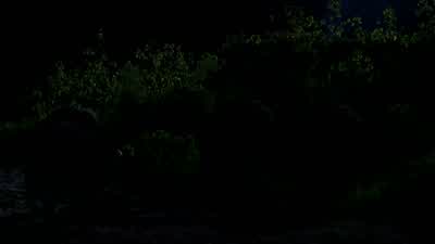 They've gone. - Lost