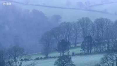 They've got a nice, thick coat on
them, so actually, - Chronicles of the Glens