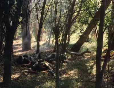 They've got us pinned down. - Deadly Prey
