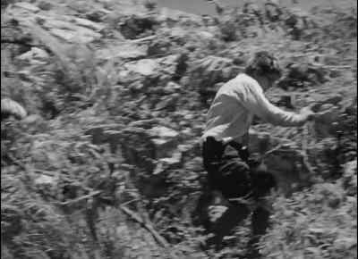 They've let
the bloody fire out! - Lord of the Flies