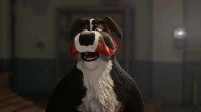 Things are always
busy around here - Dogtown 2