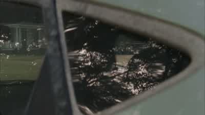 Things aren't what you think they are. - The Walking Dead