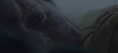 Things happen in... in silence
until I was 15. - Cold Meat