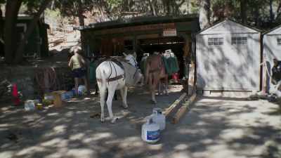Things like lumber,
propane tanks, water, groceries. - United States of Animals