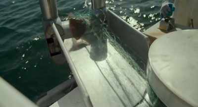 Things start moving
and they move to colder waters - After the Bite