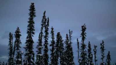 Things that you'’ll never
learn unless you come - Life Below Zero: Next Generation