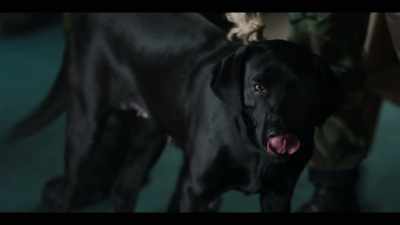 Think it was a Protestant dog.
Do you want a beer? - Say Nothing
