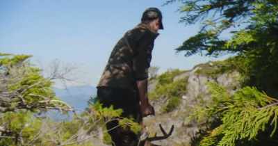 Think of an owl perched up in a tree... - Stars in the Sky: A Hunting Story