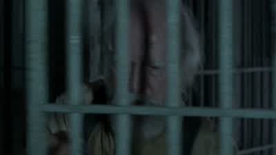 Think they're okay? - The Walking Dead