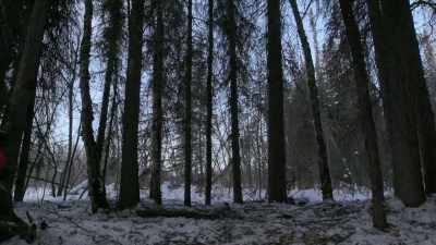 Thinking of survival,
especially
with below-zero temps, - Life Below Zero: Next Generation