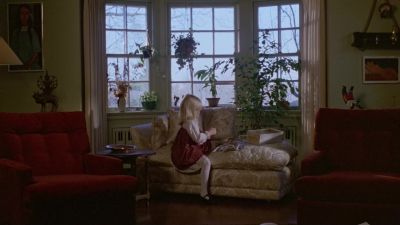 Thirty seconds after you're born you have a past - The Brood
