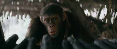 This is a bad sign
for all of us. - Kingdom of the Planet of the Apes