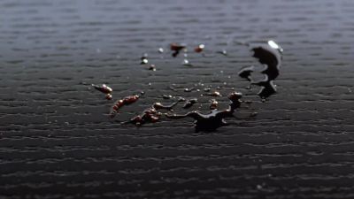 THIS is a crime scene. - CSI: Crime Scene Investigation