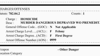 This is a criminal case.
The defendant is charged - Killer Cases