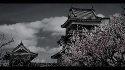 This was a dangerous situation
for Ieyasu, - Age of Samurai: Battle for Japan