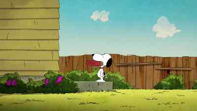This is a disaster, Snoopy. - The Snoopy Show