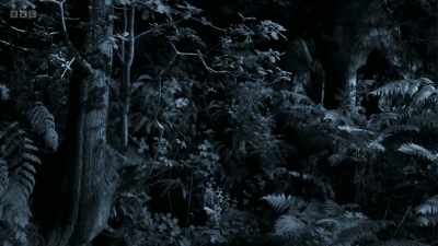 This is a display ground - Wild Isles