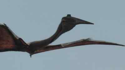 This is a female. - Prehistoric Planet