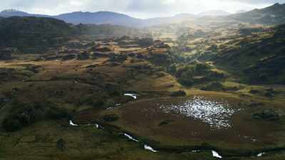 This is a landscape
being returned to wilderness. - Wild Isles