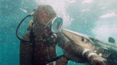 This is a misconception. - Playing with Sharks